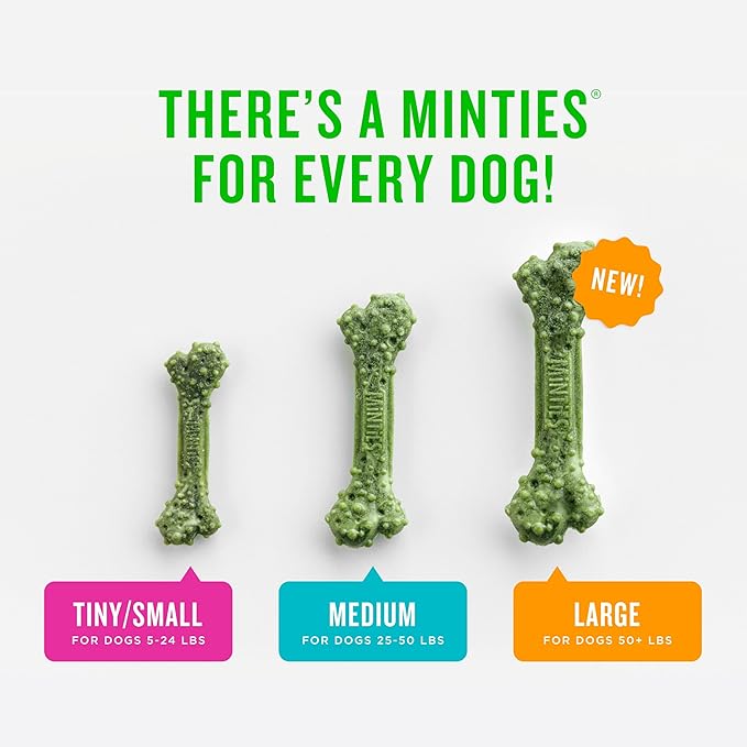 Minties Dental Chews for Dogs, Vet-Recommended Mint-Flavored Dental Dog Treats - Image 5