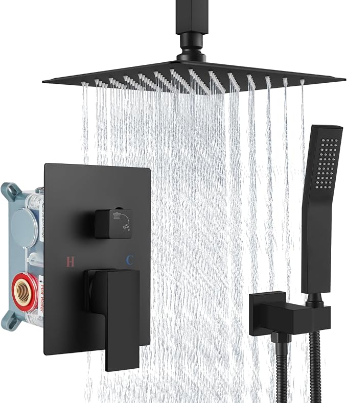 Aolemi Ceiling Mount Rain Shower Head & Handheld Spray by Aolemi