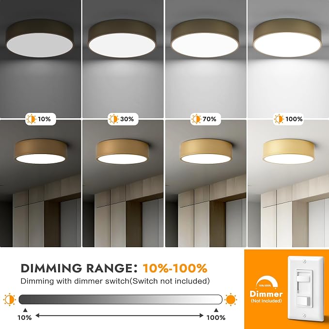 Dimmable Modern Large Flush Mount Close to Ceiling Light Fixture, Round Painted - Image 3