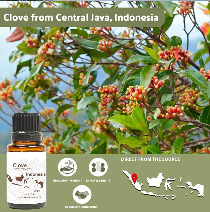 Clove Essential Oil - Image 3