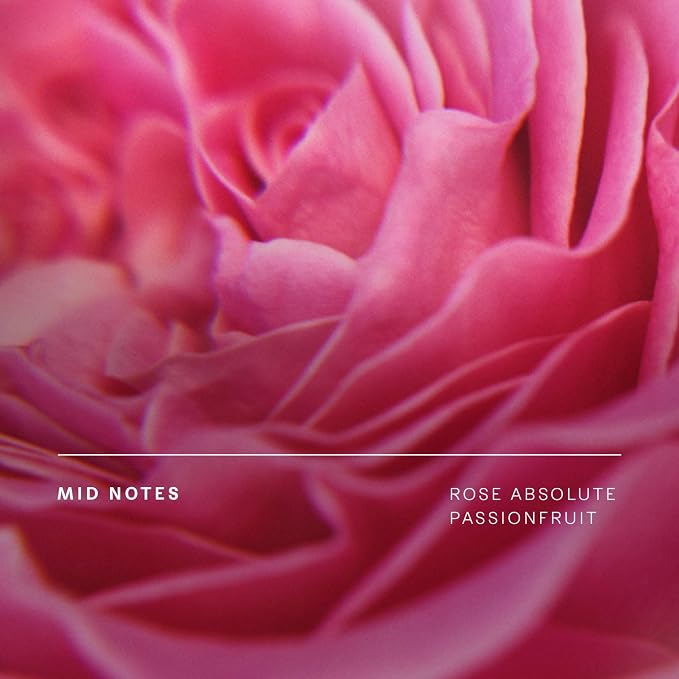 Future Society Haunted Rose Body Wash - Image 4