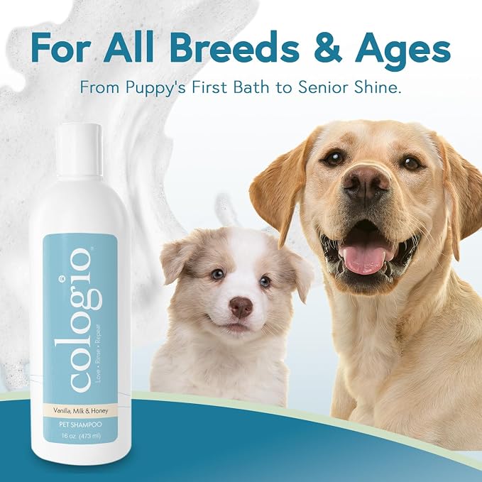 Dog Shampoo with Manuka Honey – Odor Eliminator & Itch Easing - Image 5