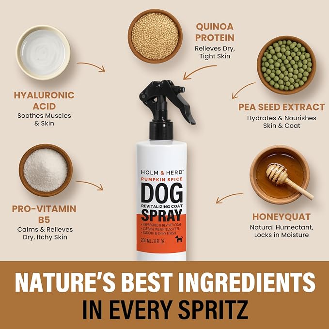 Pumpkin Spice Dog Care Gift Bundle – 3 Piece Grooming Set - Image 7