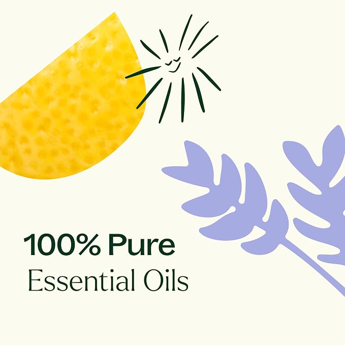Plant Therapy Sleep Easy Essential Oil Blend Set 10 mL Each of Relax, Sleep - Image 6