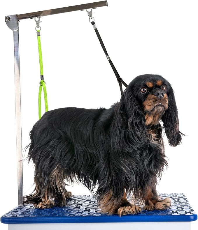 Pet Dog Grooming Loop, Nylon Restraint Noose Adjustable Fixed Dog Cat Safety - Image 5