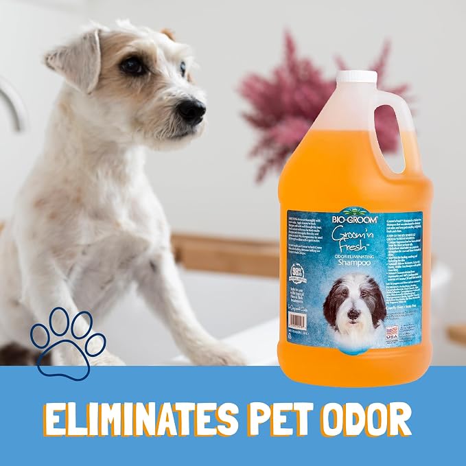 Bio-Groom Groom'n Fresh Dog Shampoo - Image 3