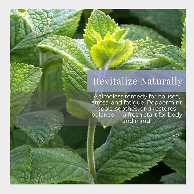 Silk Road Organic Peppermint Essential Oil Roll On, USDA Certified, - Image 2