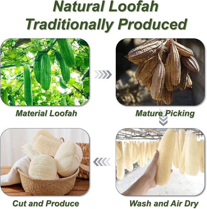Natural Loofah Sponge, Exfoliating Body Scrubber - Image 5