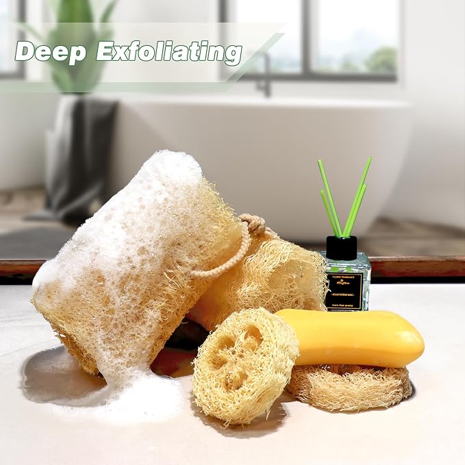 Organic Natural Loofah Sponges 4.7'' Luffa Spa - Image 4