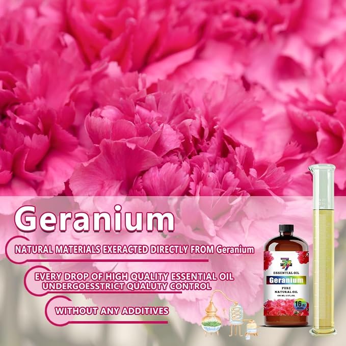 Geranium Essential Oil – Geranium Oils - Image 7
