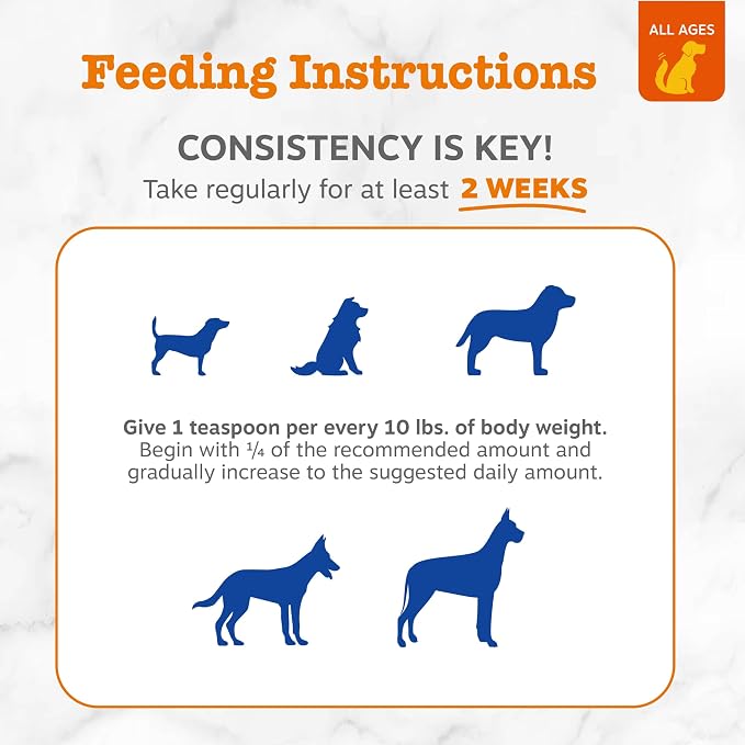 Coconut Oil for Dogs - Image 3