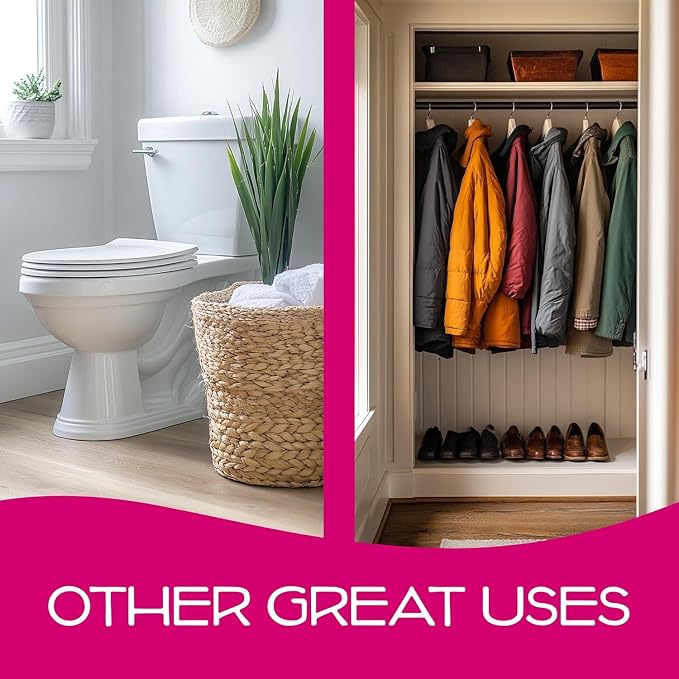 California Scents Can Air Freshener and Odor Neutralizer, Stocking Stuffers - Image 6