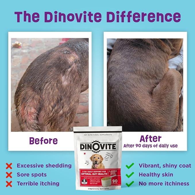 Dinovite 3 in 1 Probiotic for Medium Dogs, Skin & Coat, Digestive Health & - Image 3