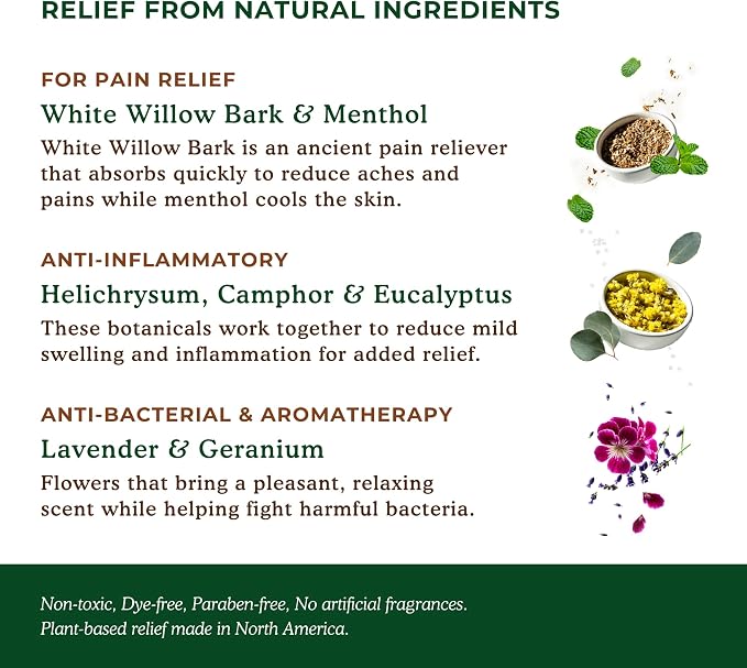 Nature's Willow Willow Balm Natural Pain Relief Cream - Image 4
