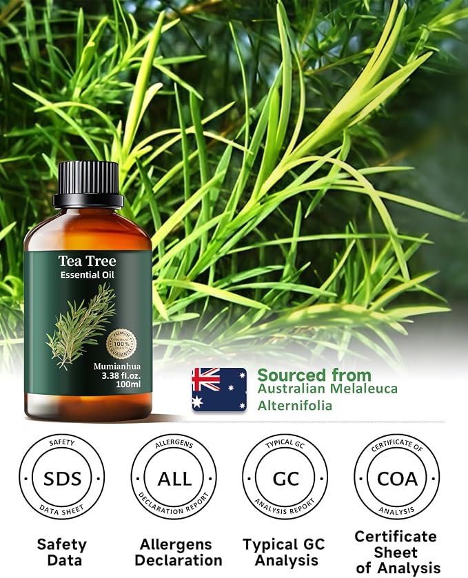 Pure Tea Tree Essential Oil, Mumianhua Natural Purifying Oil - Image 6