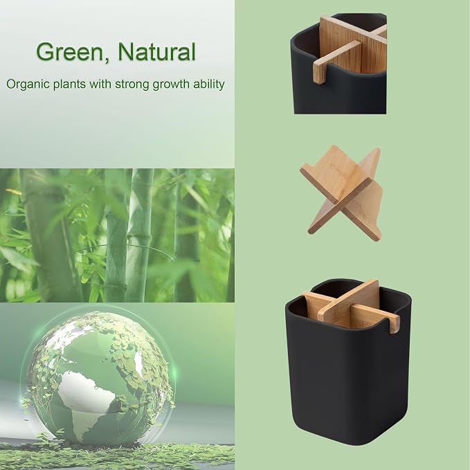 Aoheuo Bamboo-Toothbrush Holders-Multifunctional-Electric Toothbrush-Storage - Image 3