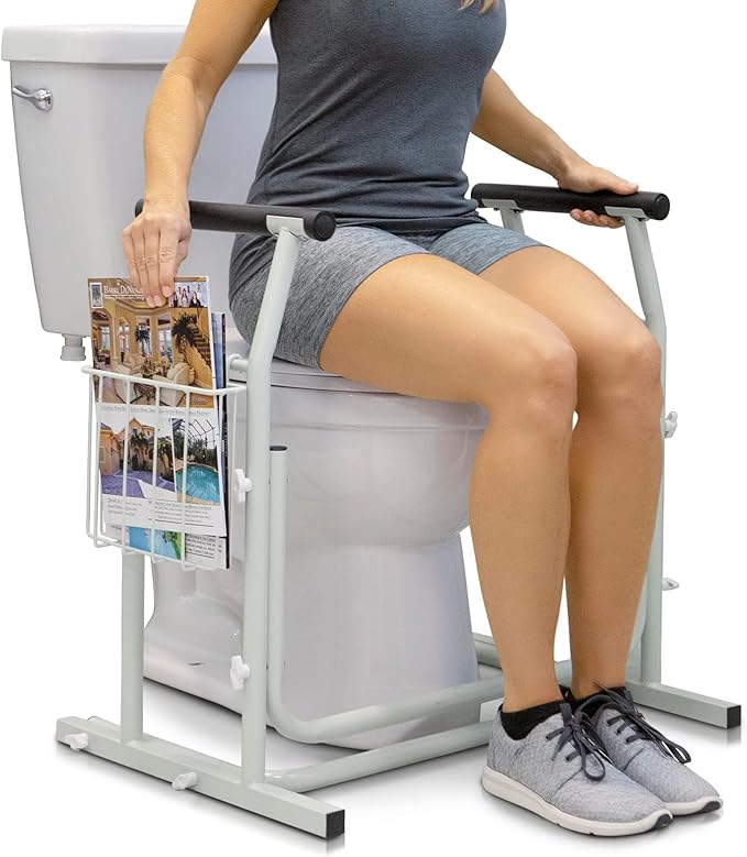 Vive Toilet Safety Rail with Arms by Vive