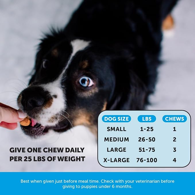 Pet Honesty Omega Skin Health Chews - Image 4