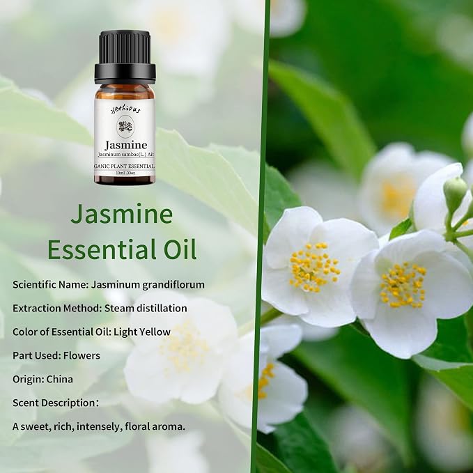 yethious Rose Jasmine Chamomile Essential Oil Set Organic 100% Pure - Image 3