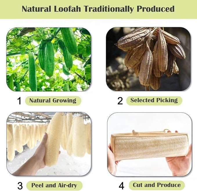 Natural Loofah Sponge Back Scrubber - Image 2