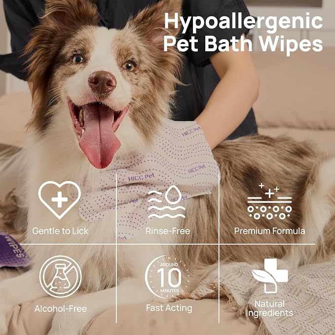 HICC PET Glove Wipes Pro Series - Image 9