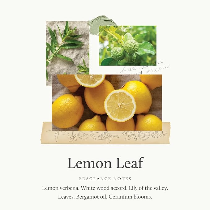 Thymes Hand Wash Refill - Image 3