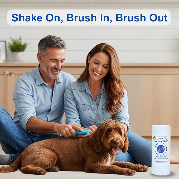 Sit. Stay. Forever. Dry Shampoo - Image 9