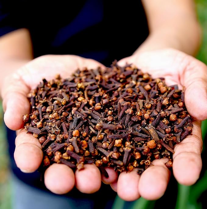 100% Pure Clove Essential Oils - Image 9