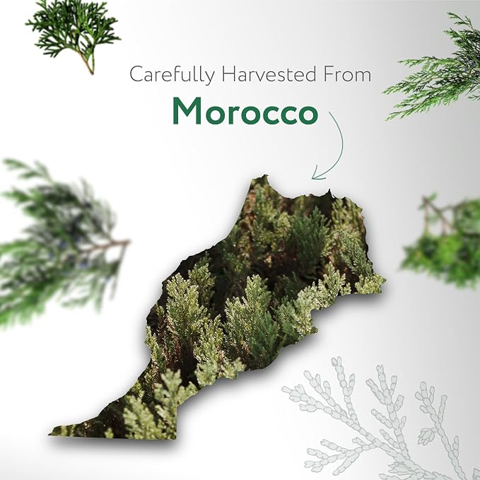 HBNO Organic Cedarwood Essential Oil - Image 3