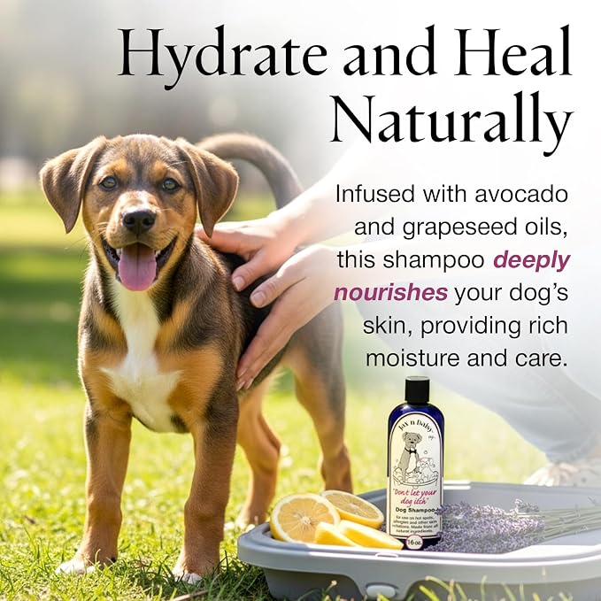 Jax n Daisy Dog Shampoo - Image 6