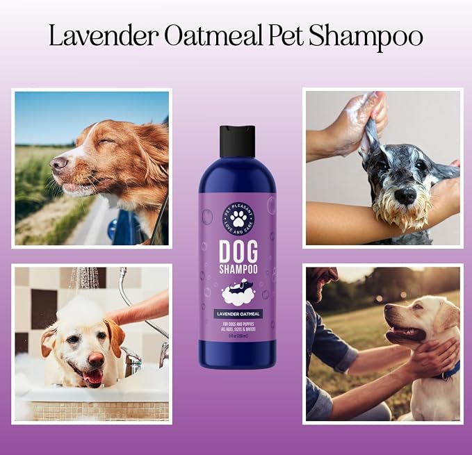 Soothing Oatmeal Shampoo for Dogs - Image 2