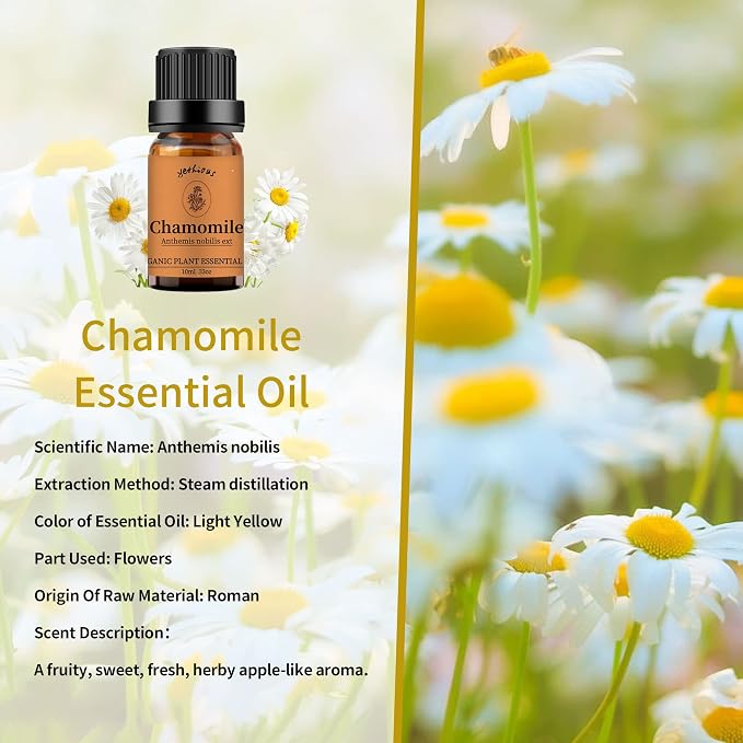 yethious Rose Jasmine Chamomile Essential Oil Set Organic 100% Pure - Image 4