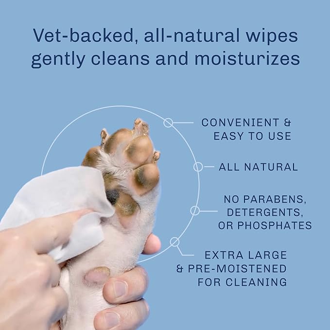 TrueBlue Chamomile & Honeysuckle Pure & Sure Puppy Wipes – Pre-Moistened Puppy - Image 4