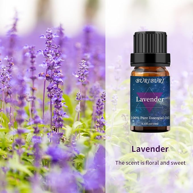 BURIBURI Eucalyptus Oil and Lavender Essential Oil Set 2 Pack, 100% Pure - Image 2