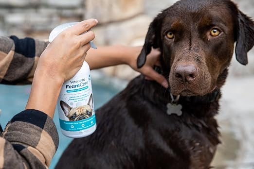 Vetericyn FoamCare Dog Shampoo and Conditioner - Image 2