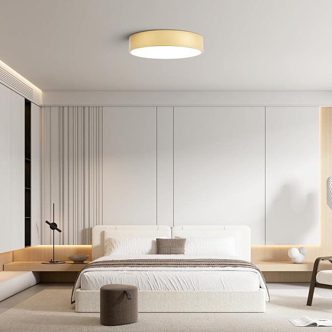 Dimmable Modern Large Flush Mount Close to Ceiling Light Fixture, Round Painted - Image 2