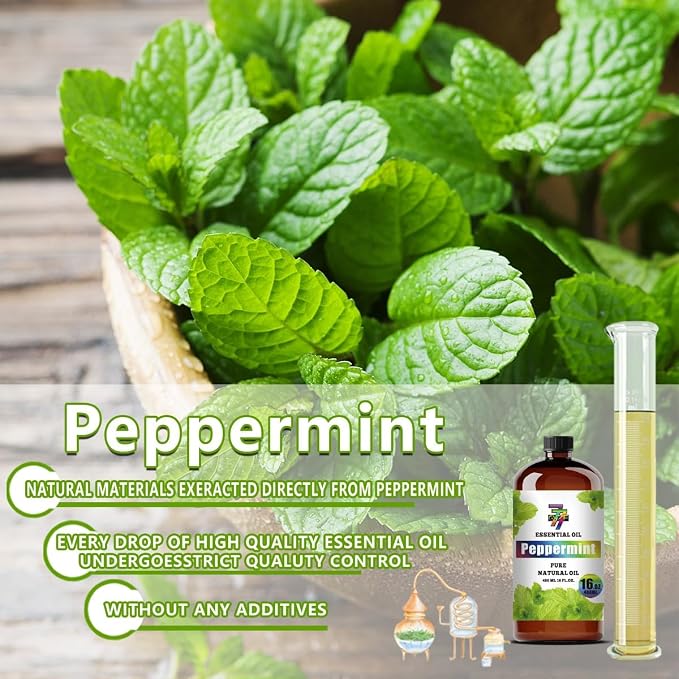 Peppermint Essential Oil – Peppermint Oils - Image 7
