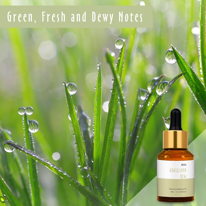 Grassland Dew Fragrance Oil, MitFlor Hotel Diffuser Scents - Image 2