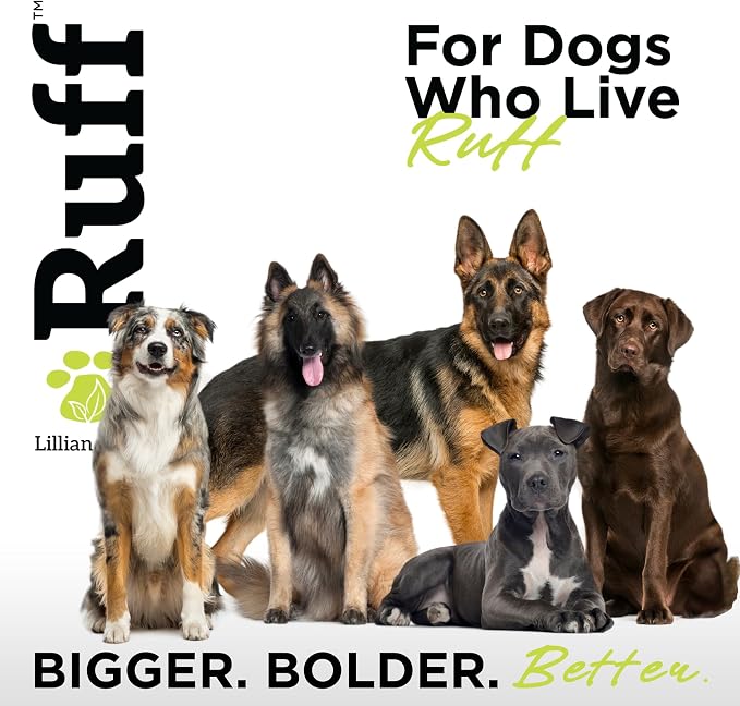 Ruff by Lillian Ruff Deshedding Dog Shampoo | Coconut Lime | Vitamin E - Image 8