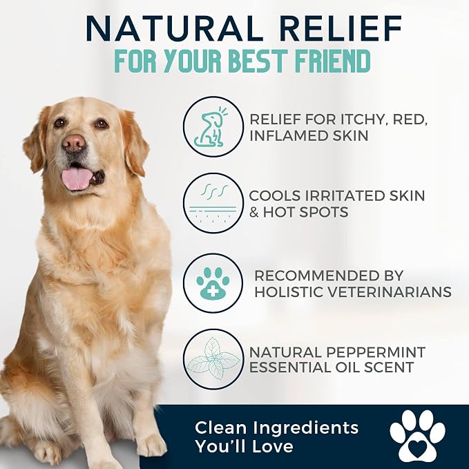 4Legger Organic Dog Shampoo, Cooling Peppermint Tea Tree Dog Shampoo - Image 3