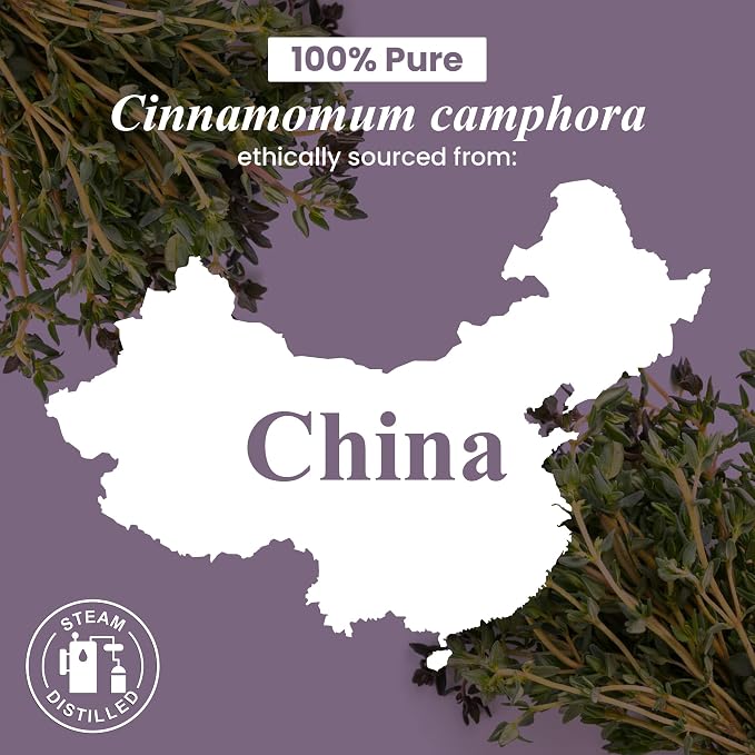 Handcraft Blends Camphor Essential Oil – Huge 4 Fl Oz – 100% Pure and Natural – - Image 7