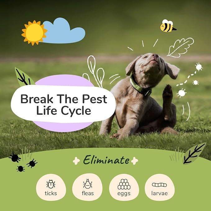 kin+kind Flea and Tick Shampoo for Dogs Vet Formulated - Image 2