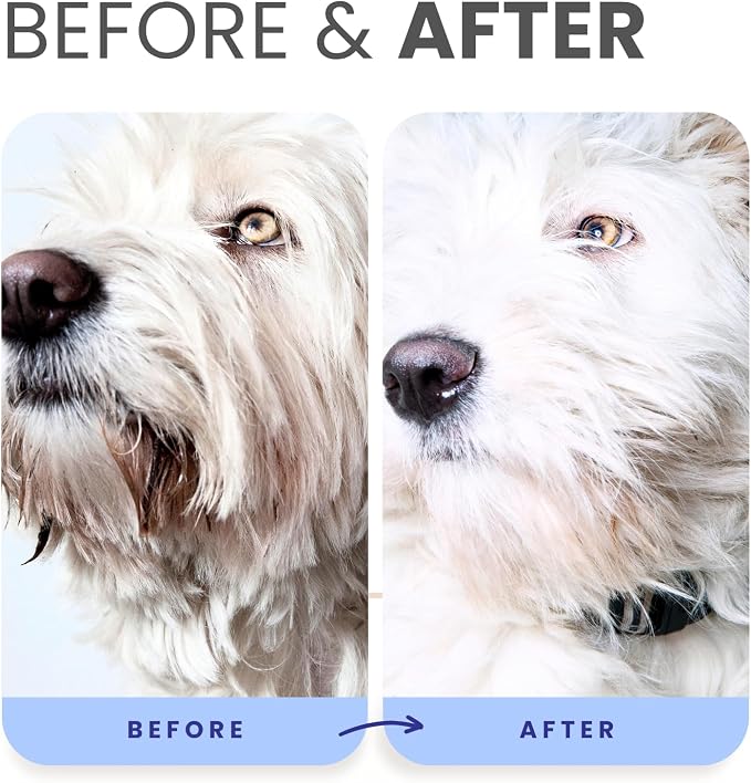 Lillian Ruff PRO Formula Berry Blue Brightening Dog Conditioner - Image 5