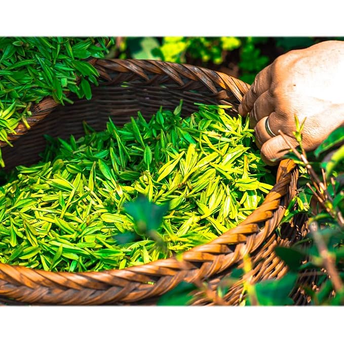 ECO amenities Bar Soap - Image 7