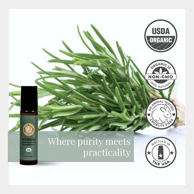 Silk Road Organic Rosemary Essential Oil & Jojoba Roll On, USDA Certified - Image 4