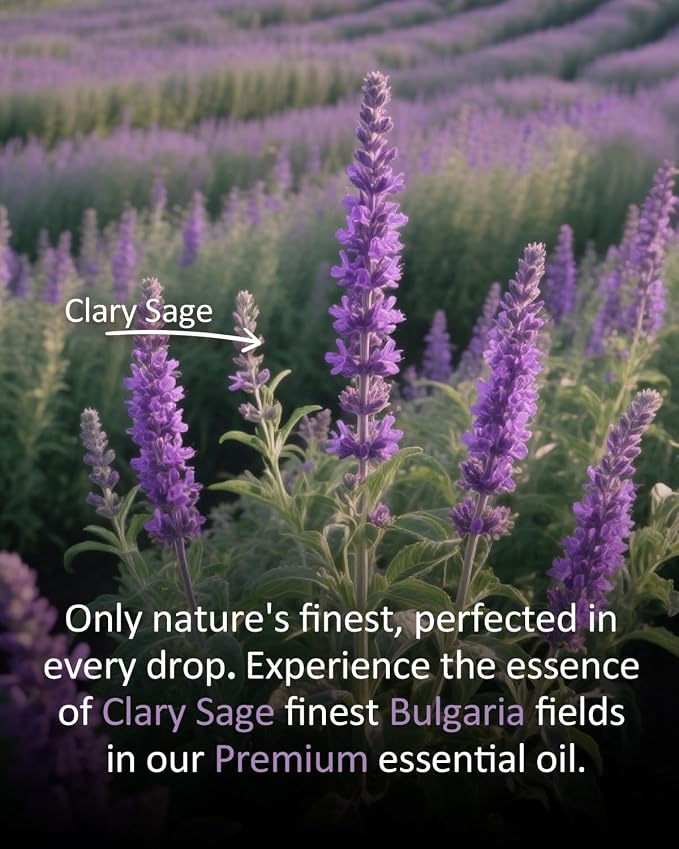 Pure Clary Sage Essential Oil, 100% Natural Clary Sage Oil, Premium Grade - Image 4
