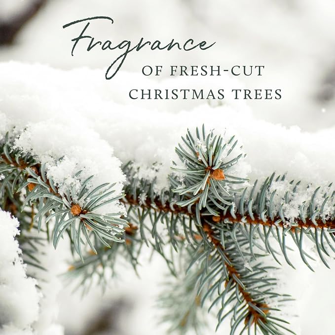 Thymes Frasier Fir Bar Soap - Image 5