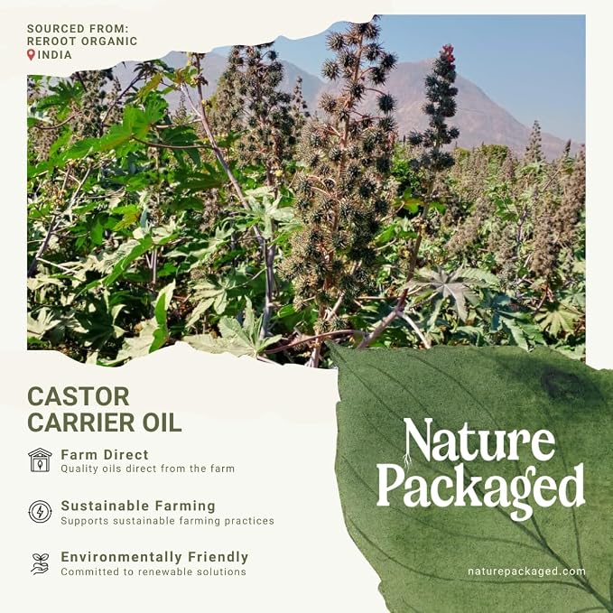 Organic Castor Oil Direct From India - Image 7