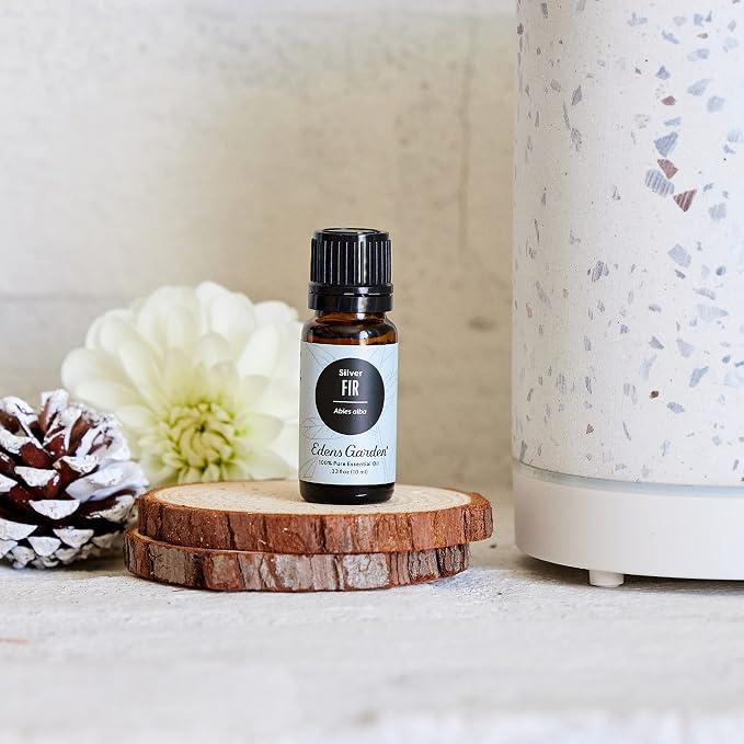 Edens Garden Fir- Silver Essential Oil, 100% Pure Therapeutic Grade 10 ml - Image 2