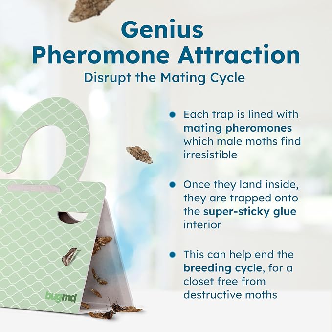 BugMD Clothes & Pantry Moth Traps – Sticky Glue Pheromone-Based Repellent - Image 7
